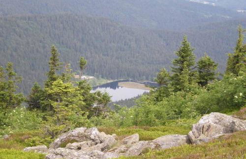 Gästehaus Schmalzreich - Foto 31