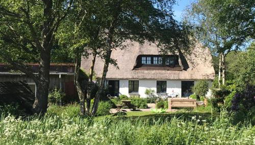 MeinNest31 - Photo 2