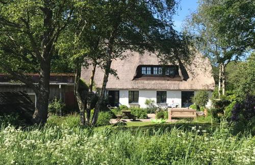 MeinNest31 - Photo 2