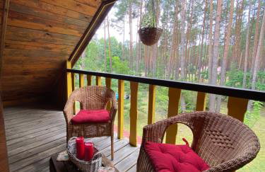 Leśny Czar - Foto 23