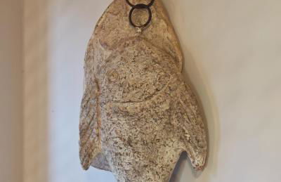 La Tienda de Porrúa - Photo 12