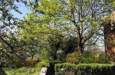 Pretty half-timbered cottage on romantic yard - Foto 18