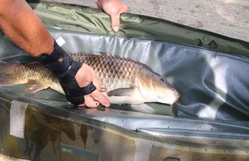 Waterside Lodges Cambridge - Foto 49