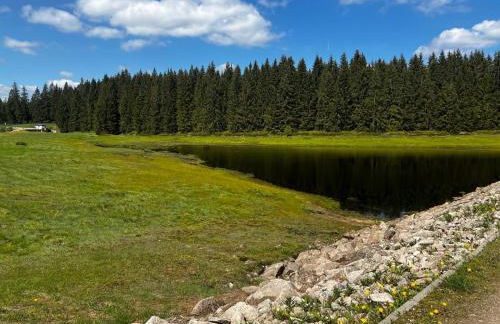 Ferienwohnungen Carlsfeld - Foto 79