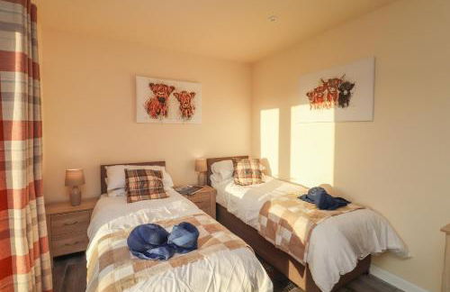 Red Squirrel - Foto 19