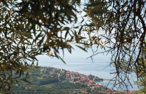 Avli Apartments - Foto 32