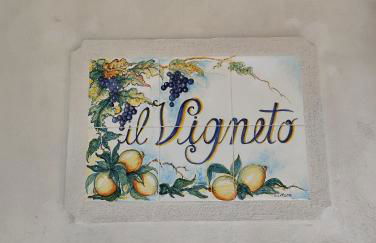 Il Vigneto - Foto 17