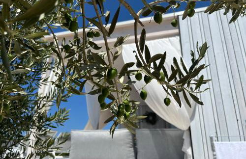 BUQEZ ECO RESORT - Beach Villas 2 and 8 - Seaview, new wifi! - Photo 13