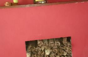 Casa de Araras - Foto 19