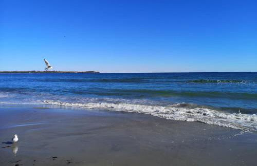 Ferienwohnung Haus Sommerwind - Foto 6