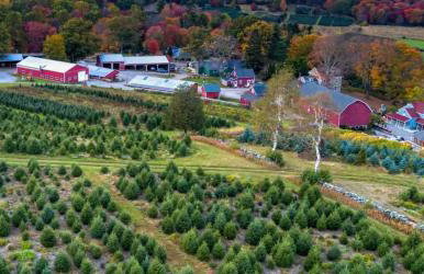 Renovated Retreat with Heated Pool - Foto 50