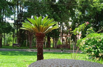 Recanto Jacarandá - Foto 3