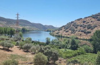 Olhares do Douro - Foto 40