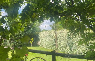 La Locanda Del Tevere - Foto 24