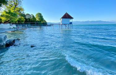 Tiny House Igluhut - Foto 15