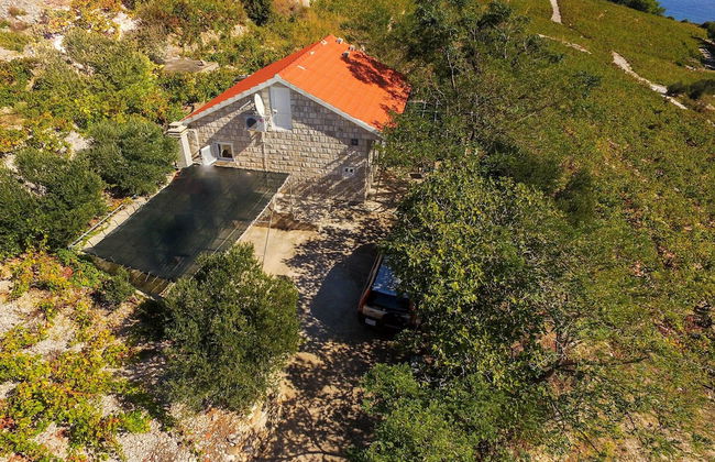 Country Home Dingač - Photo 16