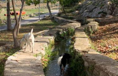 Villa Remedios - Foto 3