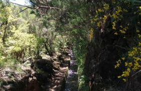 Ape Esquerdo - Foto 38