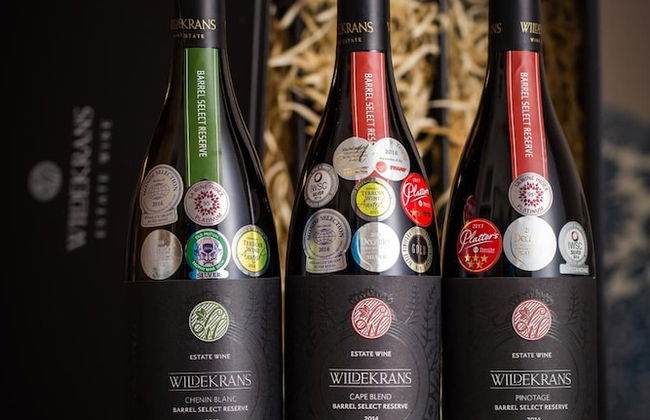 Endless Vineyards at Wildekrans Wine Estate - Photo 27