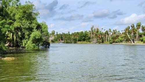 Riverfront Family Home Yard, Orchard, Dock! - Foto 2