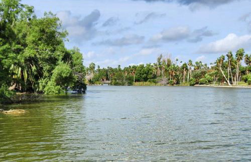 Riverfront Family Home Yard, Orchard, Dock! - Foto 2