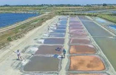 VILLA DEL RE 3 face à la piscine - Foto 16