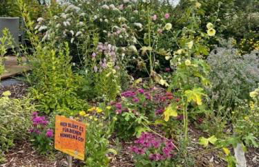 MP 7 Backbord - Foto 19