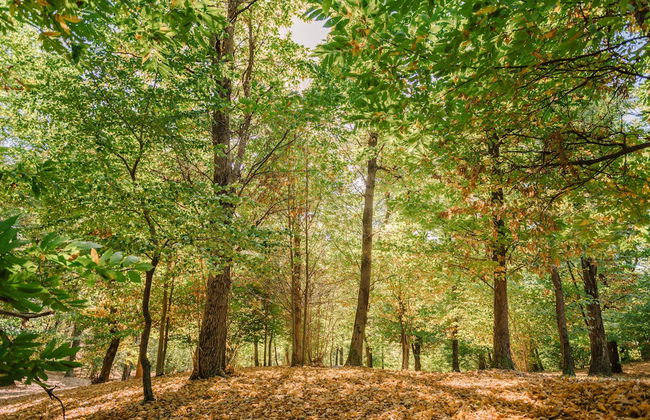 Tenuta De L'Annunziata - Natural Relais - Foto 51