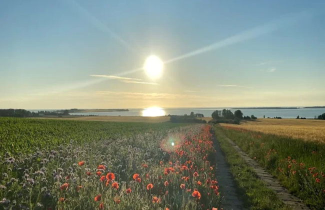 Bungalow in Klein Strtsmkendorf - Foto 36