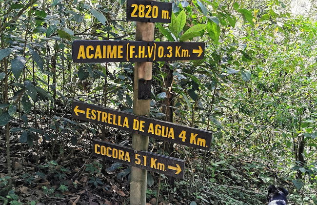 Casa Tien - Photo 73