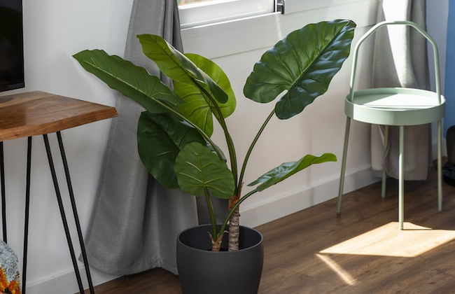 Caliu Apartments Barcelona - Camp Nou - Photo 32