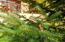 Chalet Coquelicot (Co-cli-co) relax in nature - Photo 32