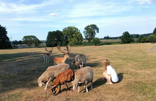 Smocze Ranczo 2 - Foto 67