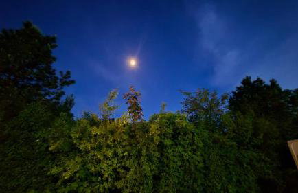 Luxury Welsh wooden cabin - Foto 74