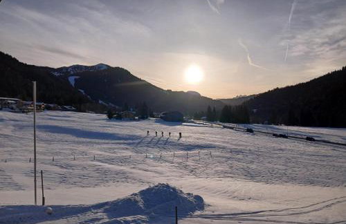 Ferienhof Steurer - Photo 28