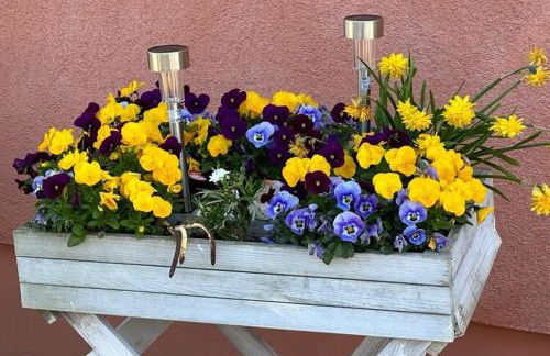 Charmante Ferienwohnung mit Kamin in Zarchlin - Photo 20