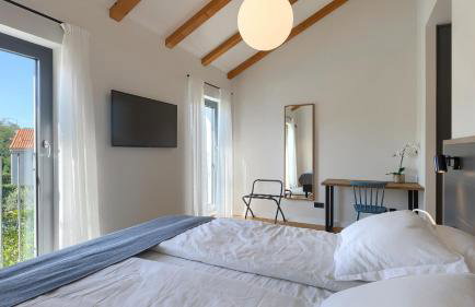 Luxury villa Povetica with pool in Vizinada - Foto 10