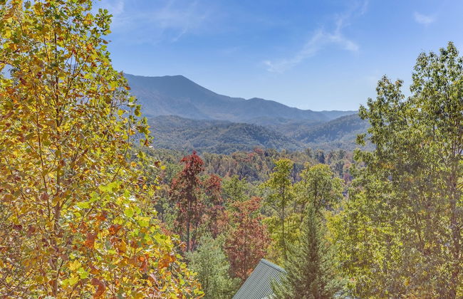 Bear Slide - Foto 15