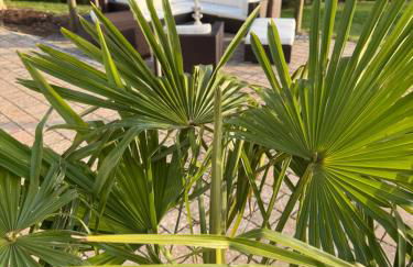 Villa Kaja by Maggie mit Pool, Kamin und traumhaftem Blick auf den Möhnesee - Foto 14