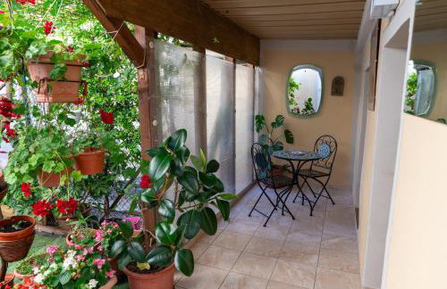 Casa Lady - Photo 23