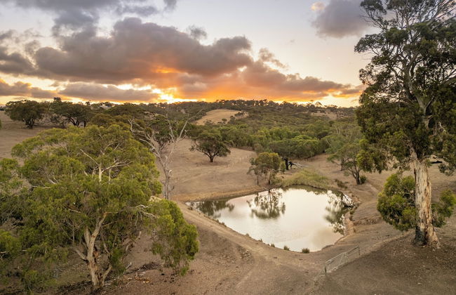 Merilli1885 - Private, Luxury Cottage - Foto 56