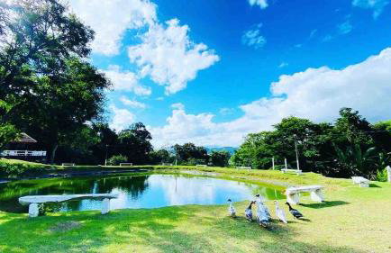 Chalé romântico com banheira aquecida - Foto 14