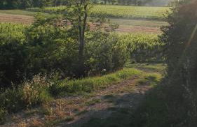 Agriturismo La Chiesina - Foto 7