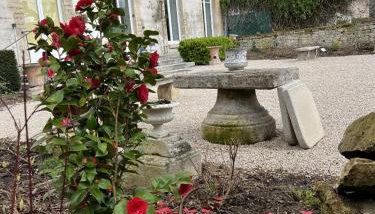 Le jardin de L'Hippodrome - Foto 3