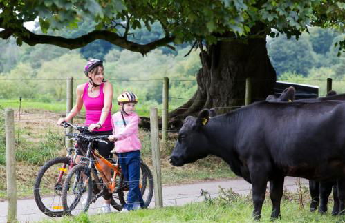 Blessingbourne Cottages & Apartments - Foto 114