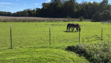 Wine Country Oasis Charming Farmhouse 10 Acres - Foto 3