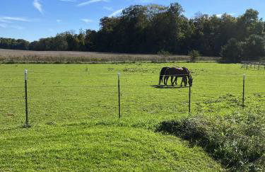 Wine Country Oasis Charming Farmhouse 10 Acres - Foto 3