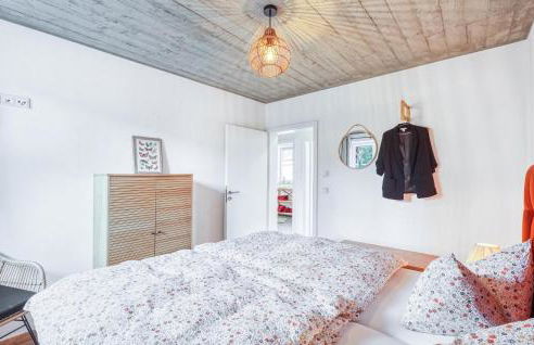 Admiral Vanessa - Foto 29