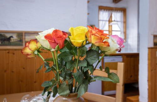 Ferienhof Schwalbennest OFC 24 - Foto 42