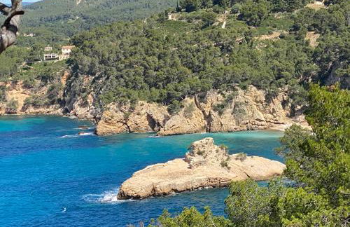 Au 526 sur mer - Foto 17